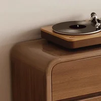 Luxury Nordic Shoe Rack Cabinet