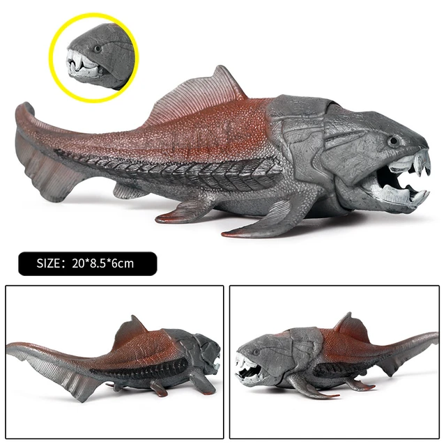 dunkleosteus size