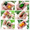 29 New Hot Selling Real Insect Resin Specimen Stag Beetle Locust Crab Scarab Bee Spider Teaching Collection Children's Cognition 1
