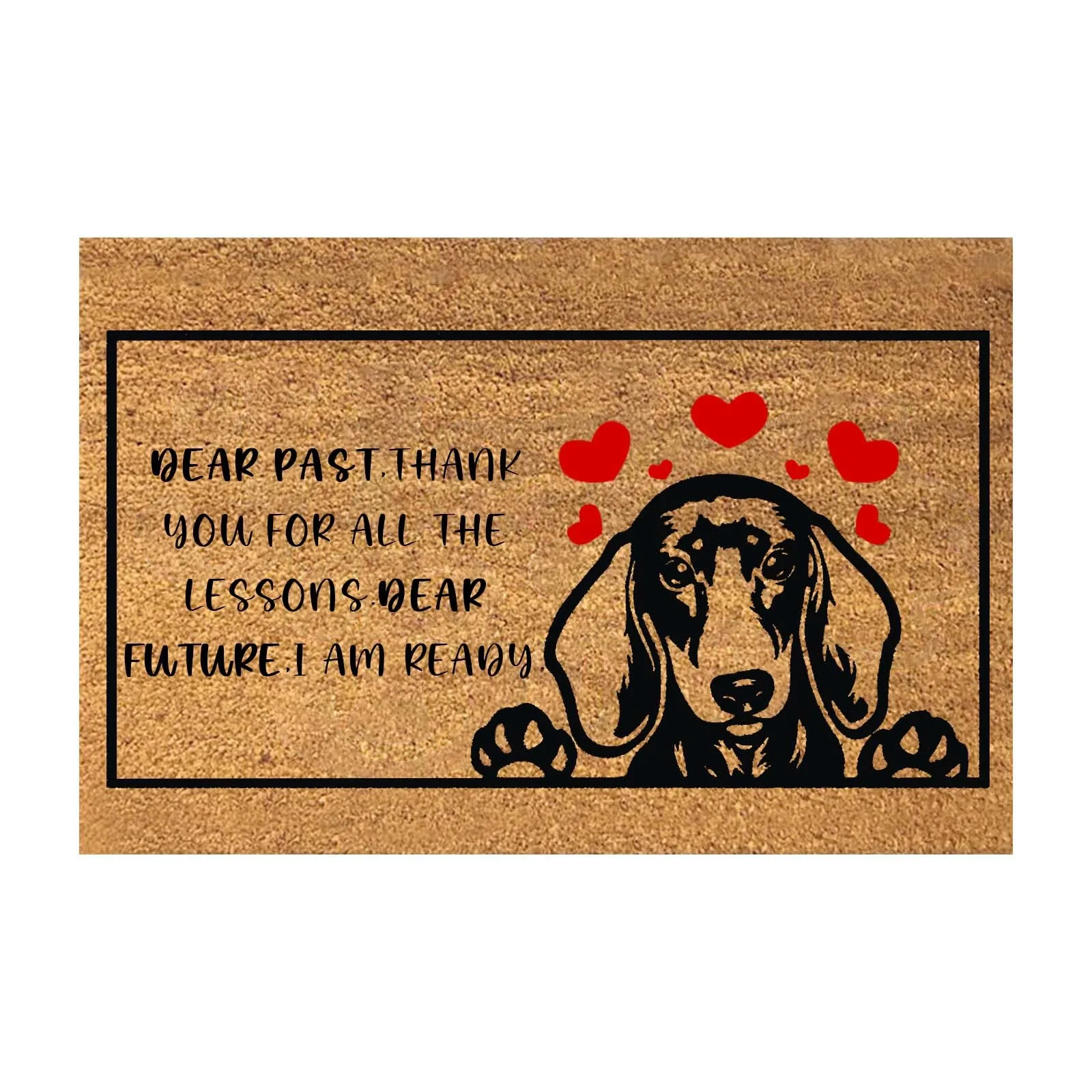 

Fun Floor Mats Non Slip Kitchen Mats For Home Decoration Easy To Clean Entry Mat Beautiful Color And Sizing For Outdoor And