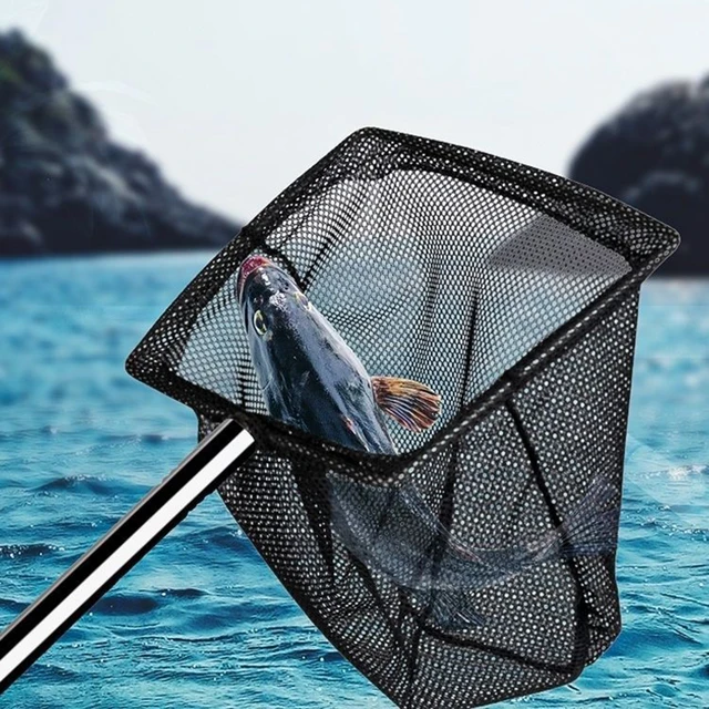 Ménage Filet De Pêche Avec Poignée Épaisse S-L 3 TANAvable En Acier  Inoxydable Pêche Épuisette Aquarium précieux propre Outil - AliExpress