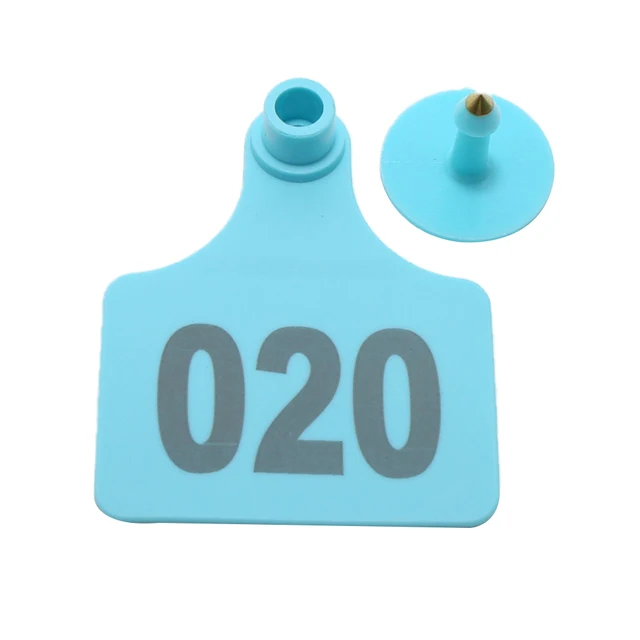 100 sets#5