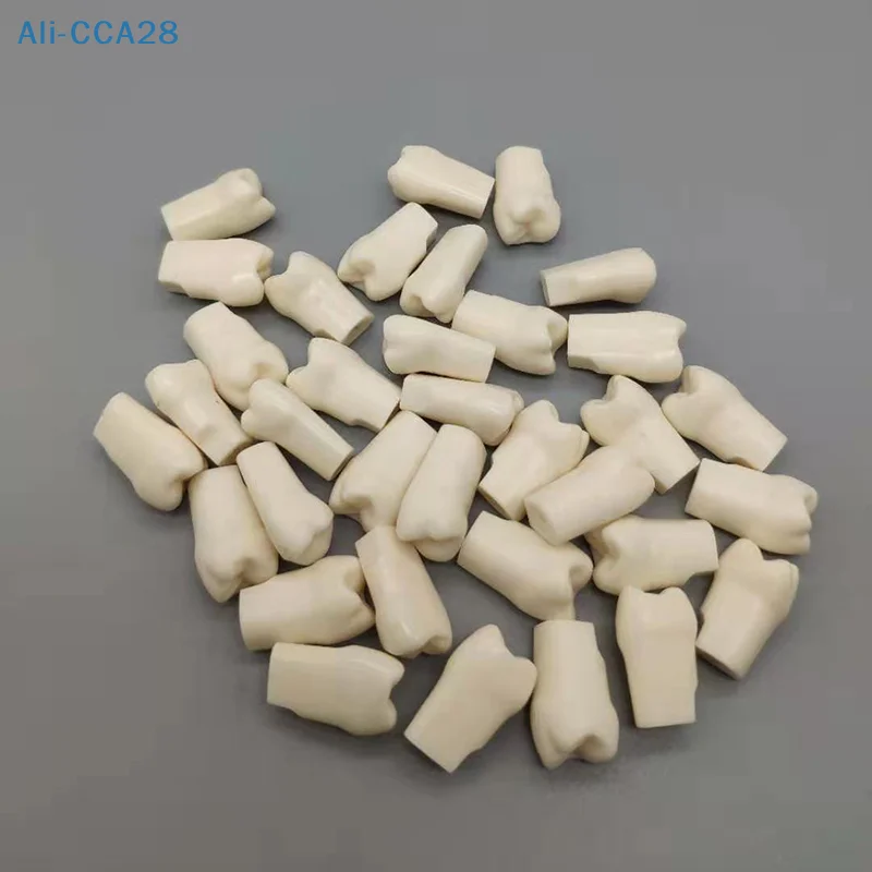 

1/5/10Pcs Tooth Dental Teeth Model For Dentist Technician Practice Preparation Removable Tooth Dentistry Training Models