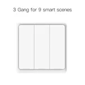 3 Gang Scene Switch