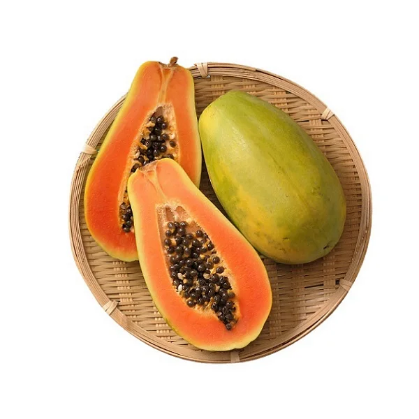 Xbees Papaya Store