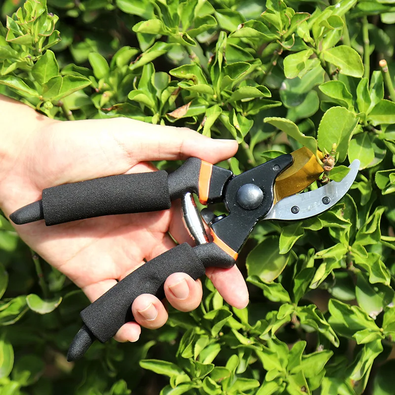 SK5 Steel Bypass Pruner Heavy Duty Branch Cutter 25mm Cutting Capacity Gardening Tool w/ Non-Slip Handles