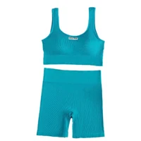 Women Seamless Yoga Set Fitness Workout Suits Sport Bra High Waist Leggings Sexy Deep-V Gym Clothing 2024 New Sportswear - Image 5