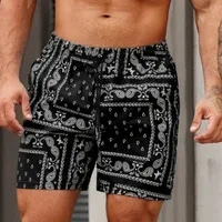 Summer Men Board Shorts Vintage Paisley Quick Drying Sport Casual Hawaii Male Beach Short Pants Trunks Man Ice Shorts Swimsuit 1