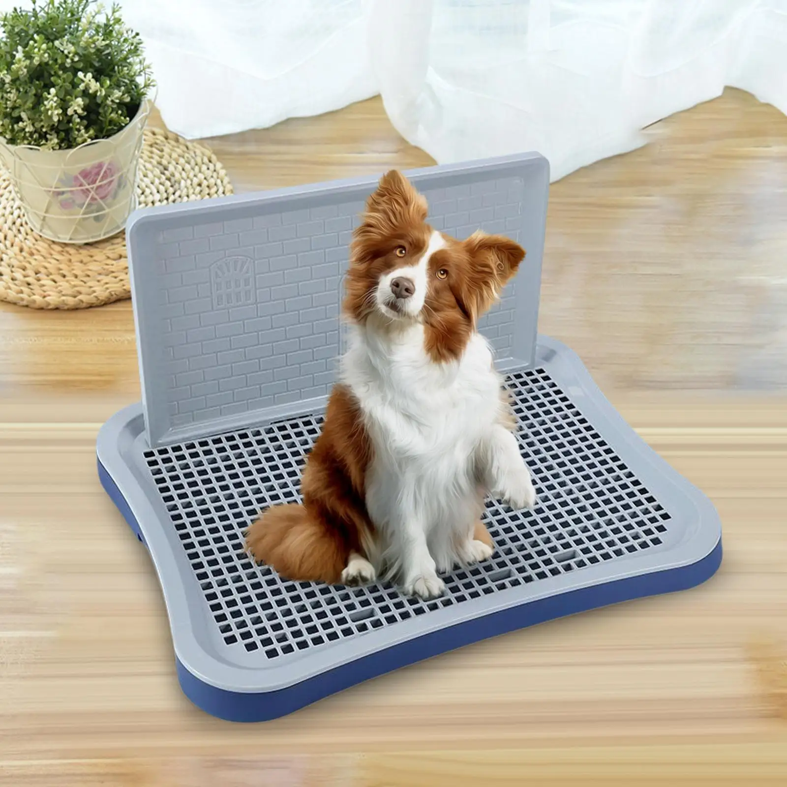 Pad Holder Pet Pee Tray Litter Box Wee Wee Pad Holder Petco Top