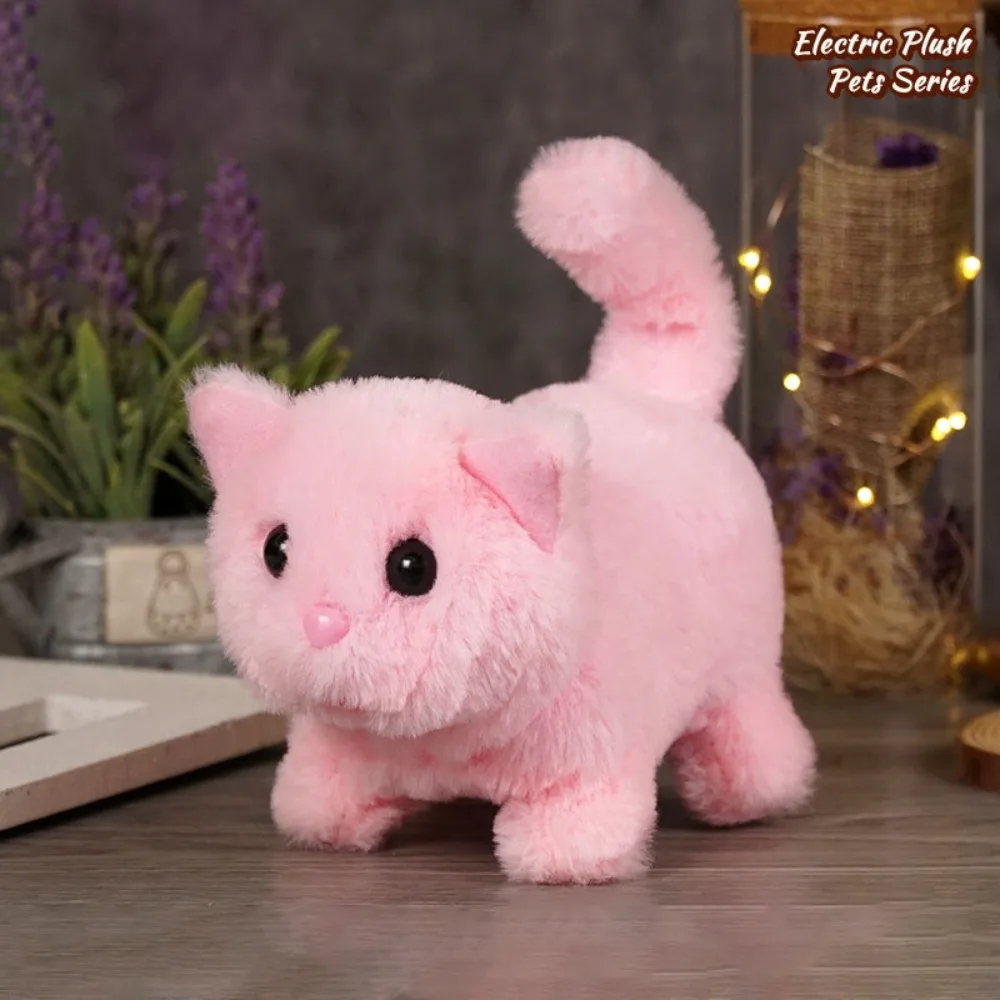 A-Pink