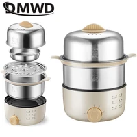 DMWD 2 Layer Multifunctional Egg Cooker Egg Custard Steamer 304 Stainless Steel Omelettes Machine Food Heater Crepe Maker 220V 1