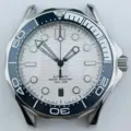NO.21 white dial