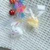 Mini Crystal Cat Claw Pendant Koala stress relief squishy fidget toy mochi antistress adult  Kids Slow Rebound sensory toys 2