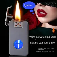 2025 Intelligent Voice Controlled Kerosene Lighter Metal Transparent Oil Arc Ignition Personalized Gift Cigarette Accessories 2