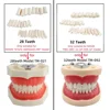 28/32 Teeth Model For Dental Technician Practice Training Jaw Typodont  Standard Dental Model Teeth Teaching Model With Soft Gum 4