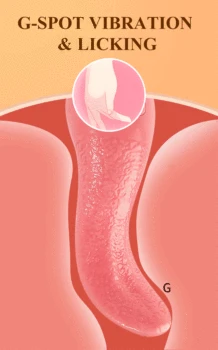 Cute Sexy Pig Licking Sucking Vibrators For Women Clitoris Sucker Anal Nipple Licks Massage Female Sex Toys Adult Erotic Machine 4