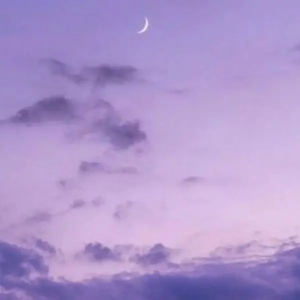 Shop1103542082 Store