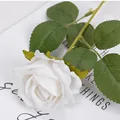 White rose