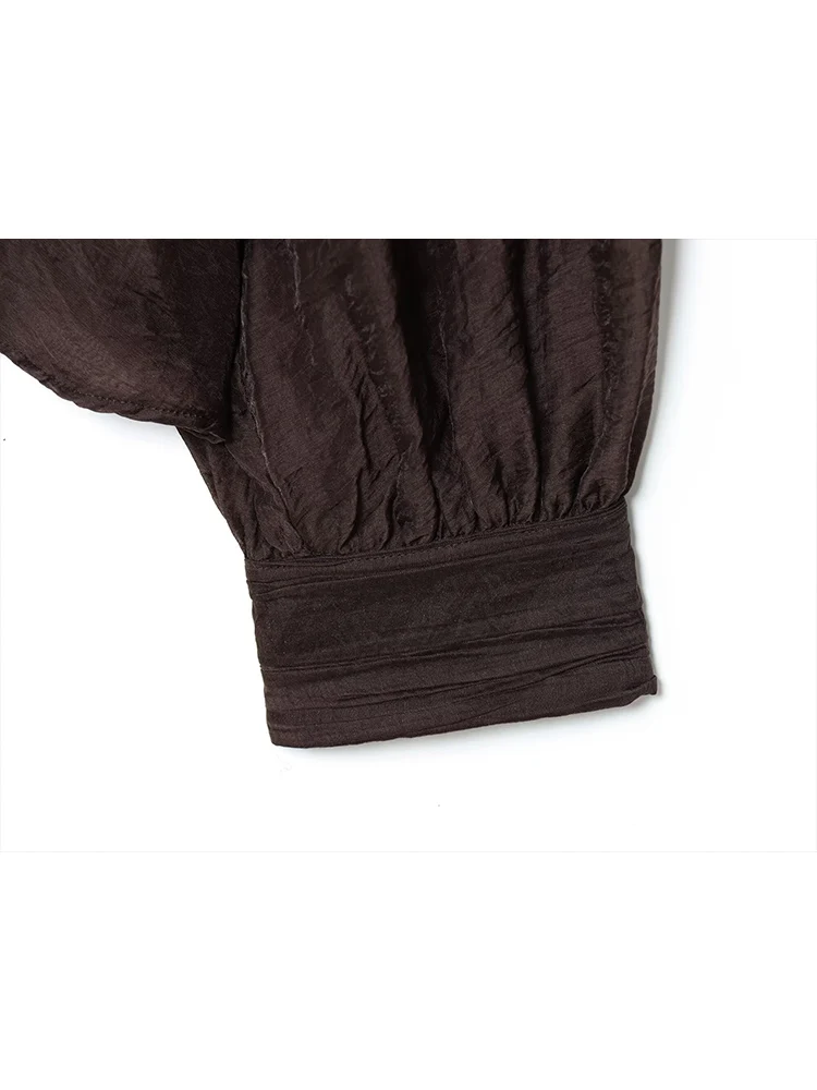 Solid See Through Shirt For Women Loose Lantern Sleeve Blouse Simple Chic Transparent Tops Lady Casual Half High Collar Shirts