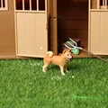 Shiba Inu-2
