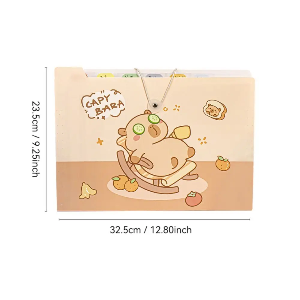 File Folder A4 8/12 Pockets Test Paper Storage Waterproof Classified Large Capacity Portfolio Organizer
