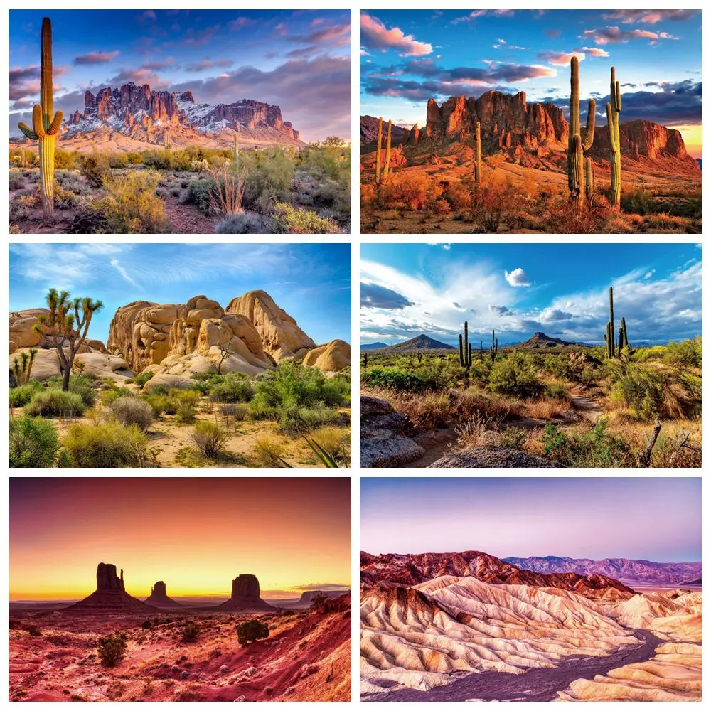 

Desert Landscape Backdrop Natural Scene Sand Dunes Cactus Sparse Green Shrub Plant Adult Kids Portrait Photography Background