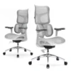 SIHOO Doro S100 Ergonomic Office Chair Dual Lumbar Support 5-Level Adjustable Backrest 4D Armrests 135° Max. Recline Angle 1