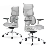 SIHOO Doro S100 Ergonomic Office Chair Dual Lumbar Support 5-Level Adjustable Backrest 4D Armrests 135° Max. Recline Angle 1