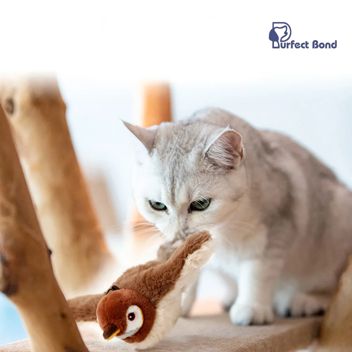 

Flapping Bird Toy for Indoor Cats, Interactive Chirping, Cat Toy with Catnip Pouches, USB Charged