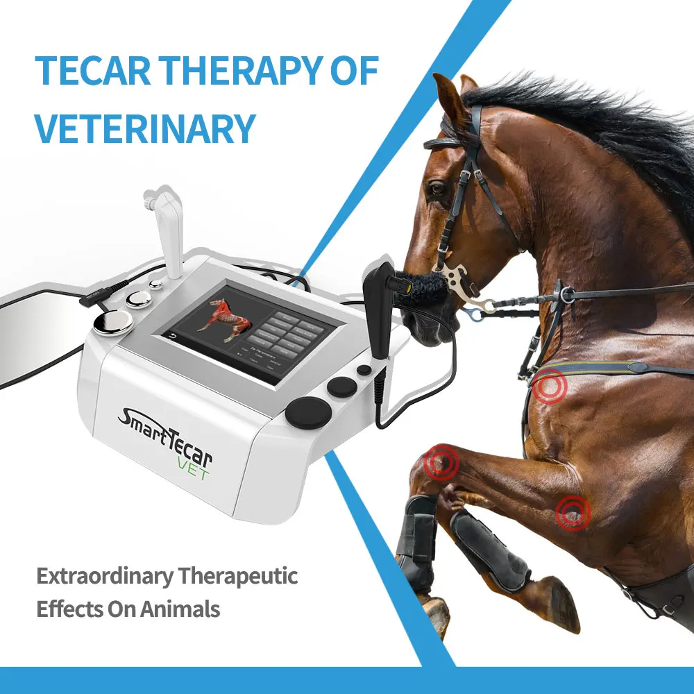Dispositivo Di Terapia Tecar Ret Cet A Radiofrequenza Portatile Dispositivo Tecar Therapi Diatermi Per Terapia Fisica Del Cavallo