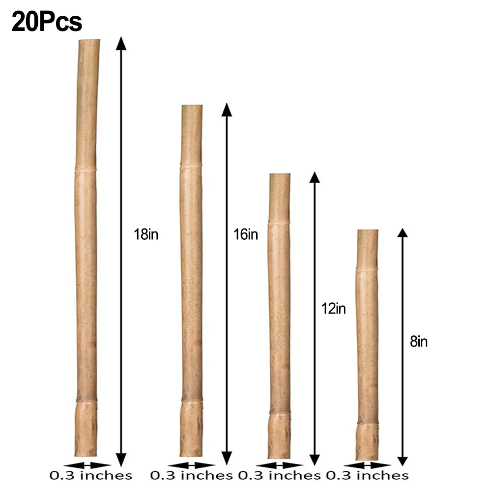 Plant Support Stakes 20pcs For Vines Climbers Vegetables Plants Garden Supplies