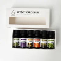 White Simple Box 6pcs/Set Sweet Orange Eucalyptus Lavender Body Massage Aromatherapy Essential Oil Sets For Home Humidifier air