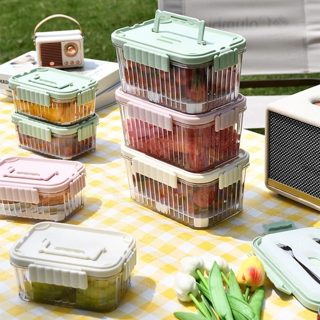 food storage container with removable drain plate and lid fridge