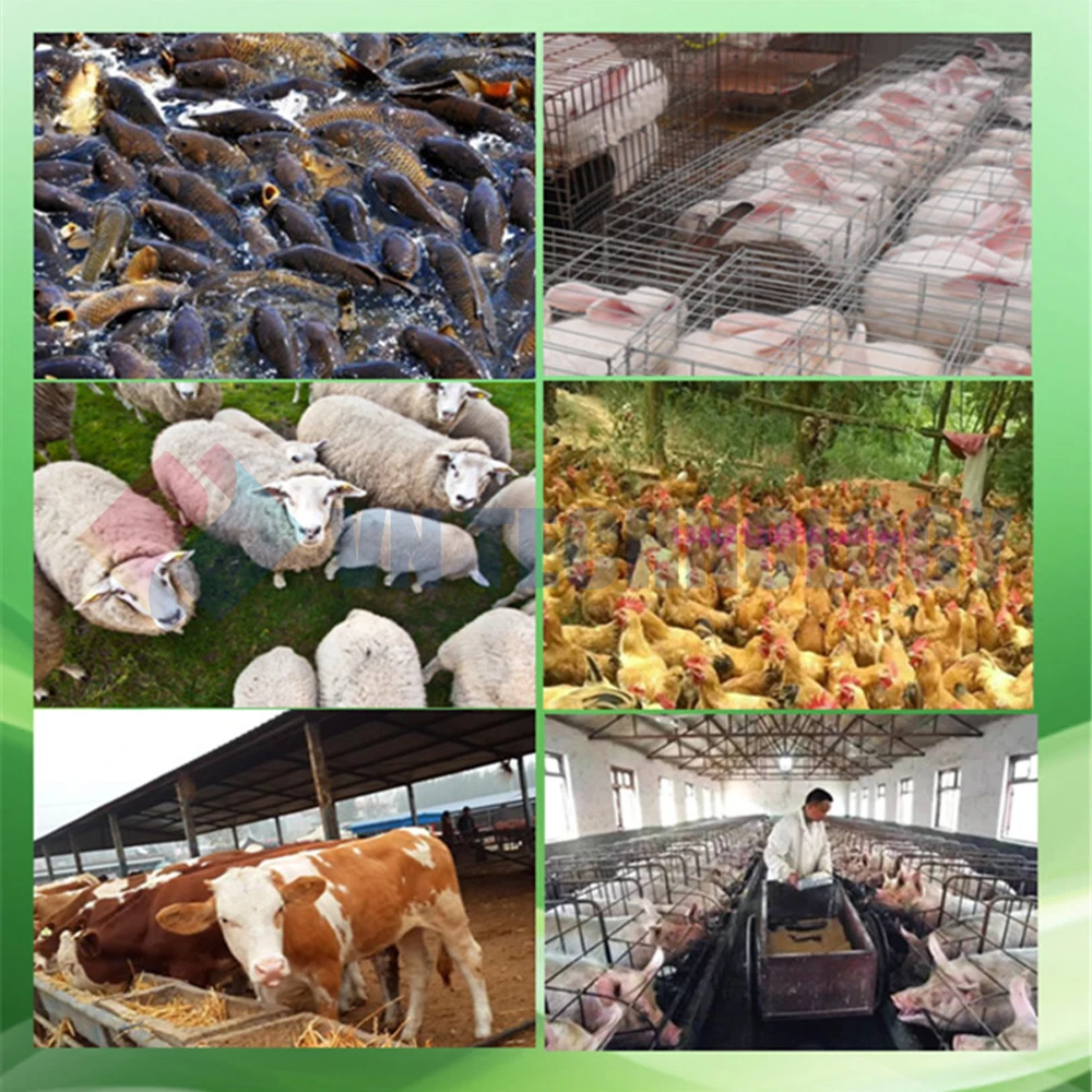 Pellet Mill Food Pellet Making Machine,high-efficiency Household Animal Feed Food Making Machine
