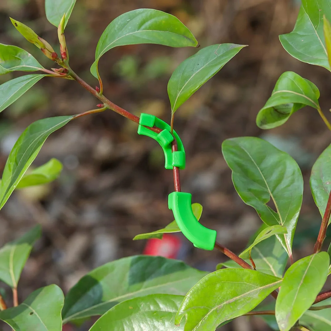 Plant Clips 36 Pcs For Low Stress Training