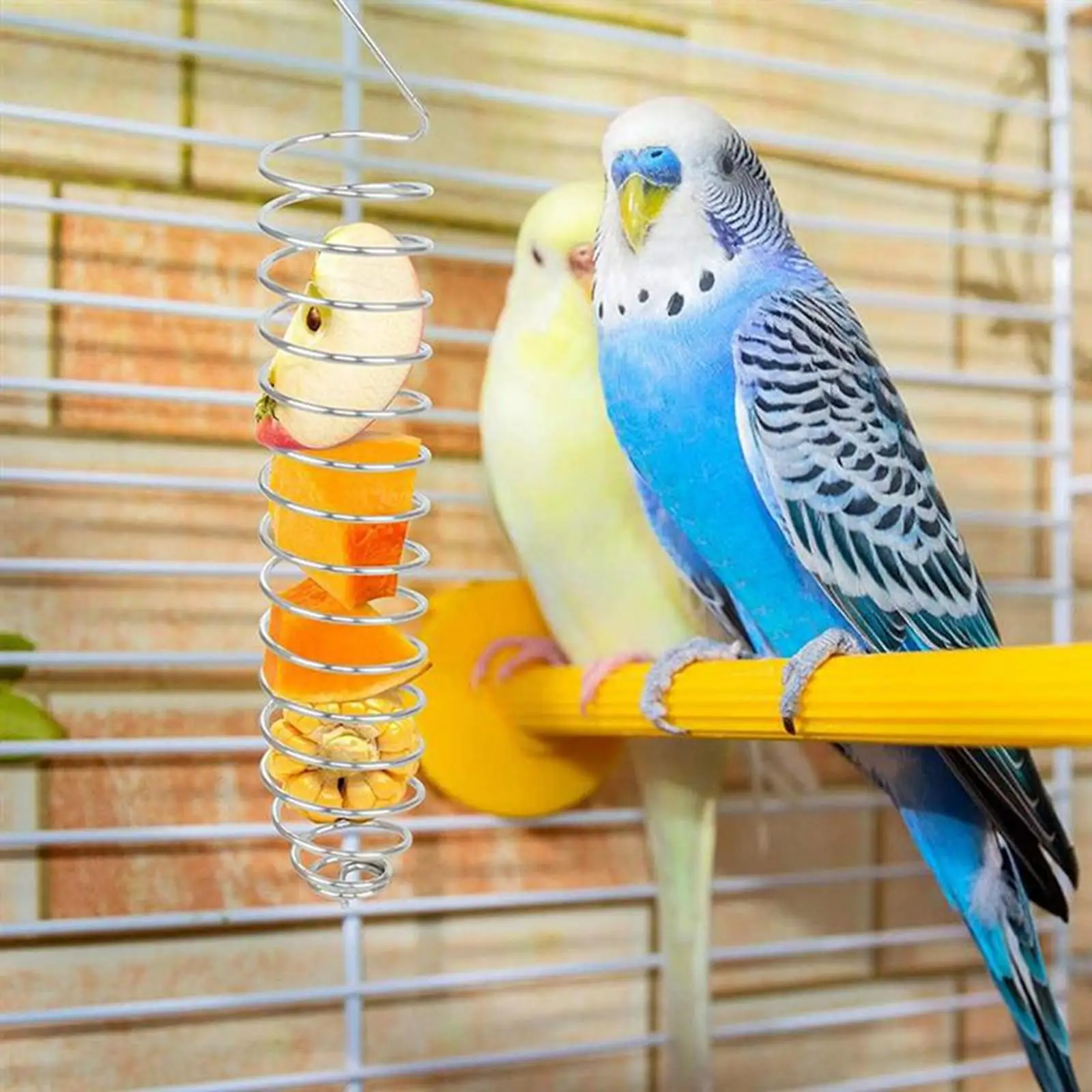 Spiral Parrots Foraging Toys Bird Fruit Feeding Tool Bird Food Basket Food Holder for Grain Fruit Birdcage Pet Accessories bird feeder parrot feeder