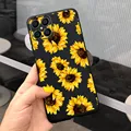 Case-c35