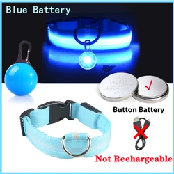 USB Rechargeable Glowing Luxury LED Pet Collar with Detachable Pendant for Night Safety Wholesale (Blue Button Battery)