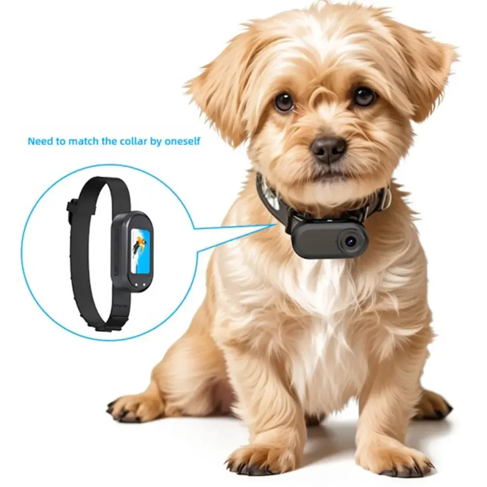 DM10 HD Thumb Action Camera 1080P Resolution Pet Sport Camcorder  Outdoor Cycling Magnetic Charging Smart recorder sport Cameras 5