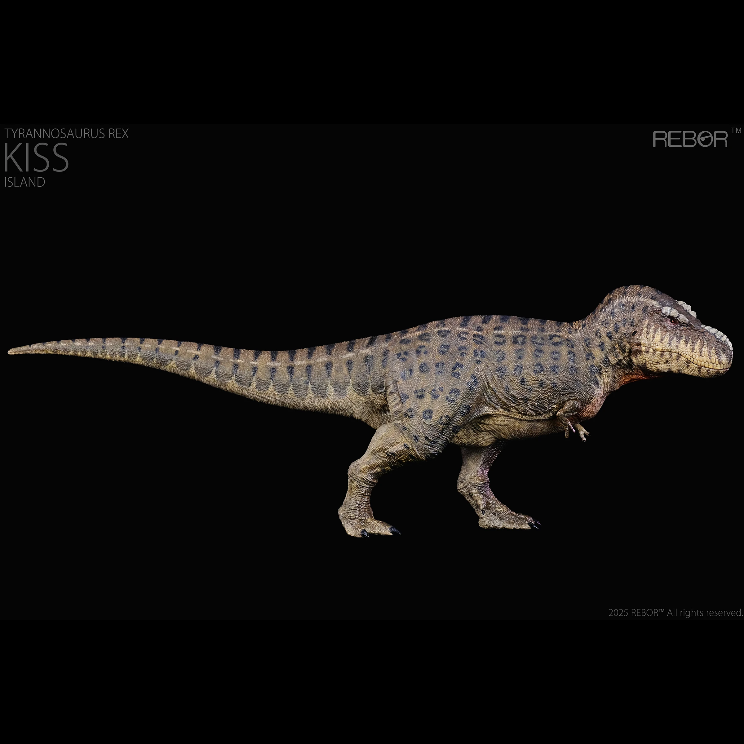 In stock REBOR 1:35 Tyrannosaurus rex “KISS” Island Ver Collection