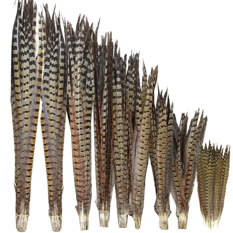 100 Pcs Natural Pheasant Tail Feathers 10 75Cm / 4 30Inch For Diy