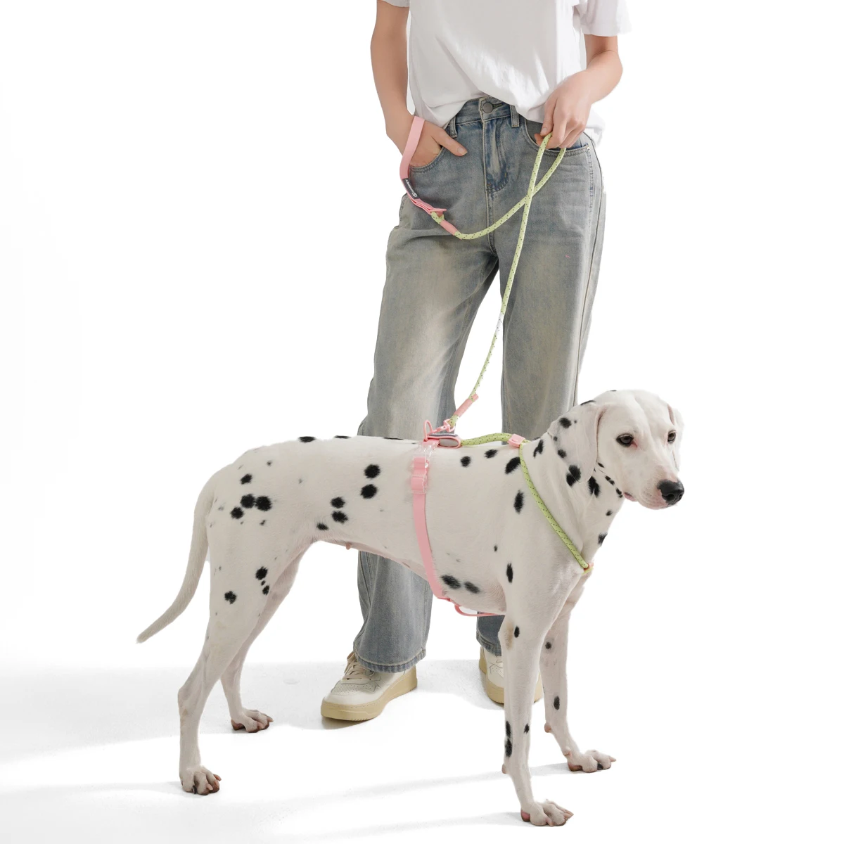 Pet Supplies Dog Collar For Small and Medium Dog Walking Sugar Color Series Cute style PVC Webbing Collar Leashes Set