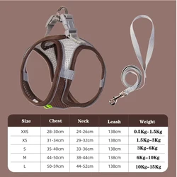 Adjustable Dog Harness and Leash Set for Small Pets - Comfortable Vest for Outdoor Walks (Grey)