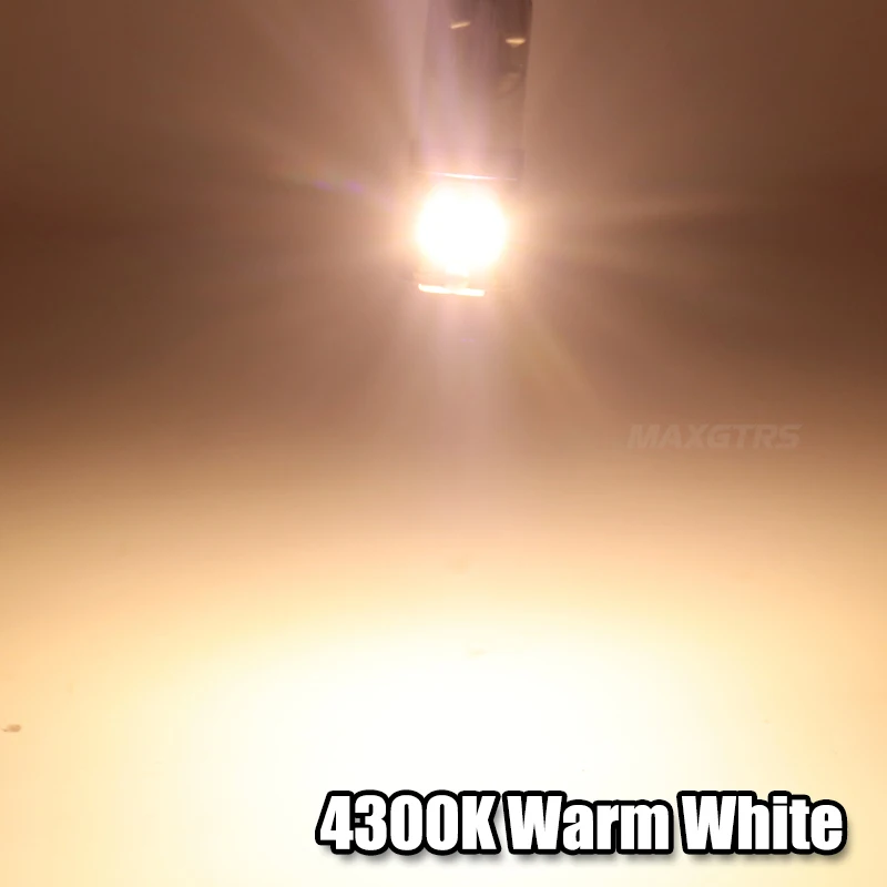 Warm White