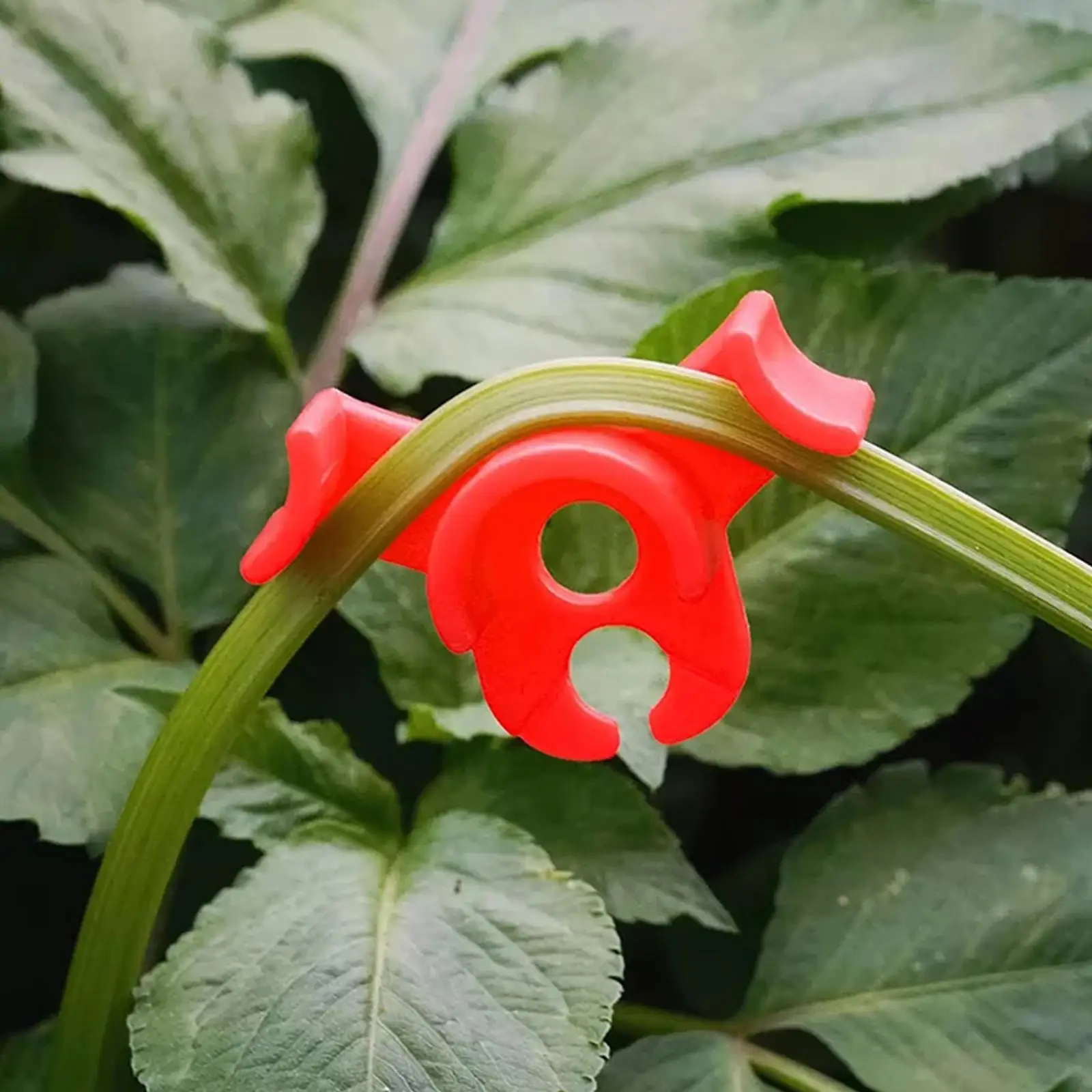 

20pcs 90 Degree Plant Branches Bender Reuseable LST Clips Low Stress Training Plant Bender Control The Growth Garden Decoration