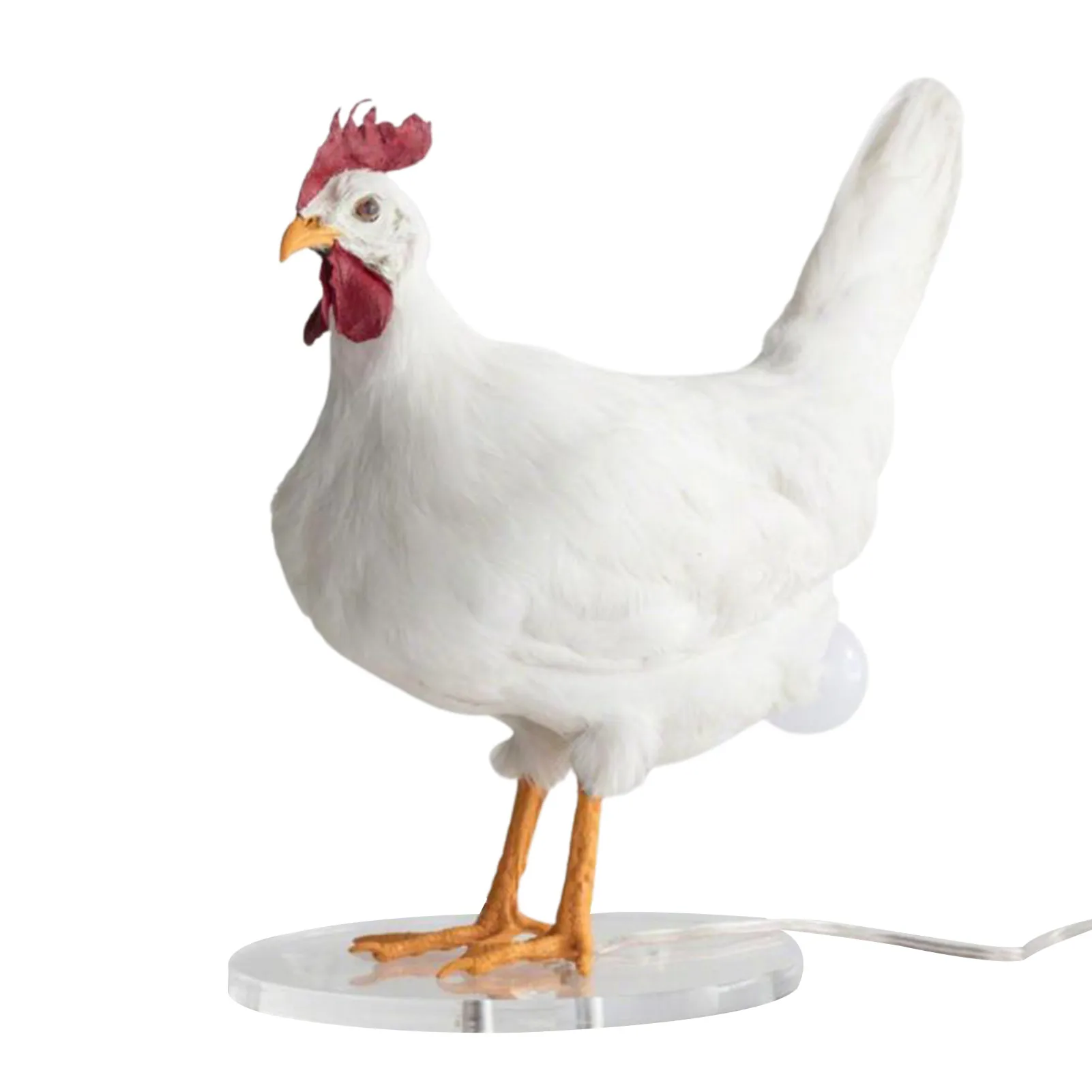 TaxidermyChickenEggLamp3DLEDNightLightsChickenLampWithEggIn