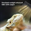 Reptile Uva+Uvb Full Spectrum Led Lamp 10.0/20.0 Sunbathe Heat Lamps for Turtle Lizard Snake Reptiles Breeding Tank Lighting 4