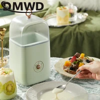 DMWD Multifunction Fermentation Machine Mini Electric Yogurt Maker Full-Automatic DIY Yogurt Tool Natto Rice Wine Fermenter 220V 2