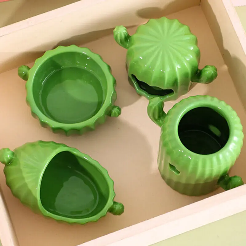 Cactus Food Bowl & Bath Tub with Water Bottle Holder 3
