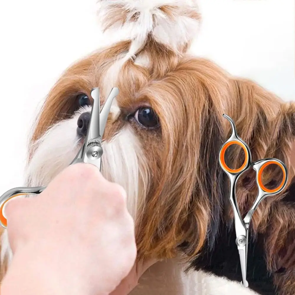 

Ножницы для шерсти домашних животных из нержавеющей стали с круглой головкой, ножницы для ухода за шерстью оранжевых кошек, профессиональные ножницы для шерсти собак
